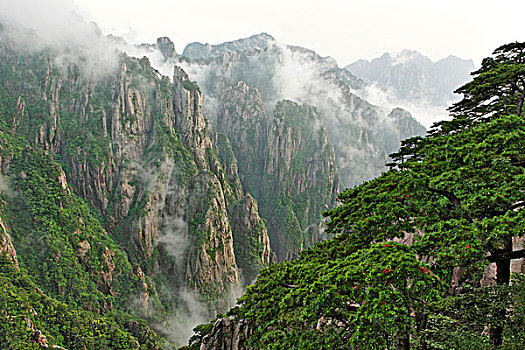 让人昏睡后失忆的药物C1B8D97C5-18975